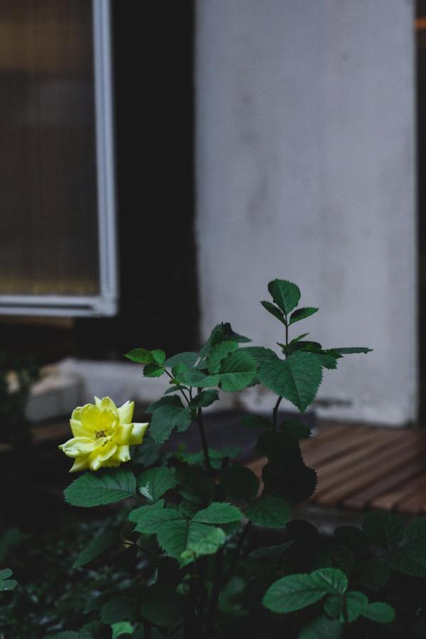 Viva La Vida - Jongno Hanok Private House Сеул Екстериор снимка